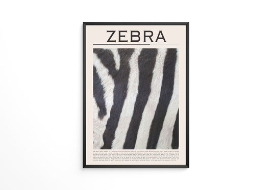 Zebrastreifen Felltextur