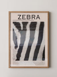 Zebrastreifen Felltextur