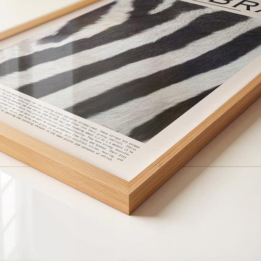 Zebrastreifen Felltextur