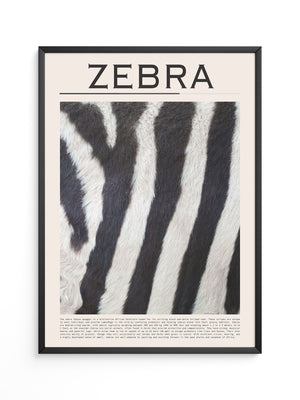 Zebrastreifen Felltextur