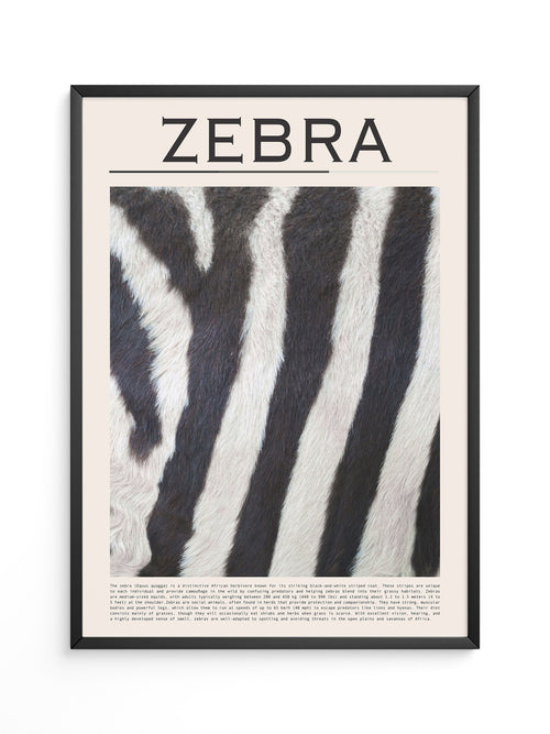 Zebrastreifen Felltextur