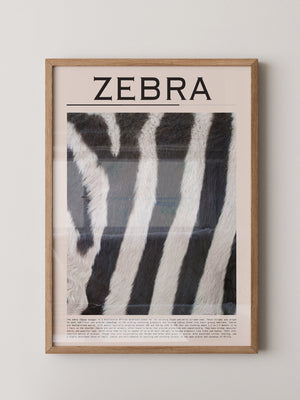 Zebrastreifen Felltextur