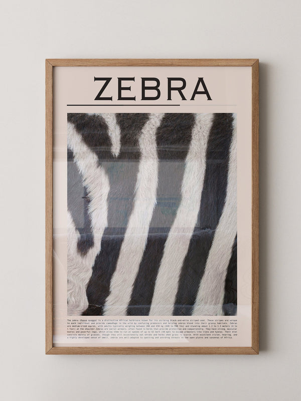 Zebrastreifen Felltextur