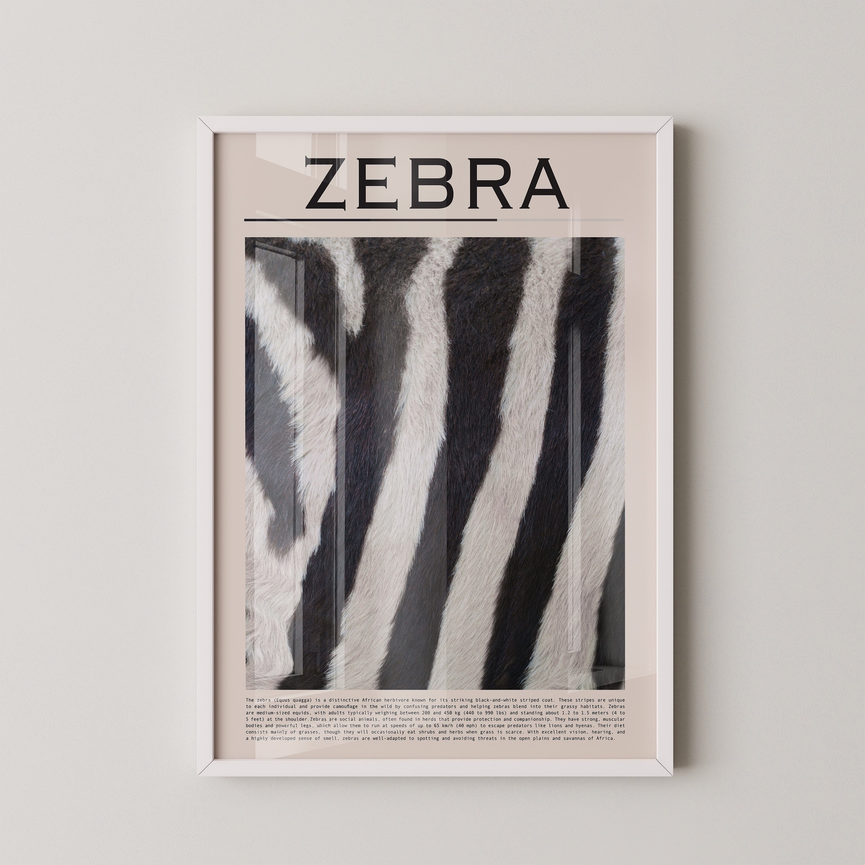 Zebrastreifen Felltextur