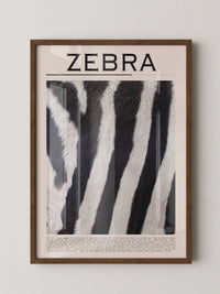 Zebrastreifen Felltextur