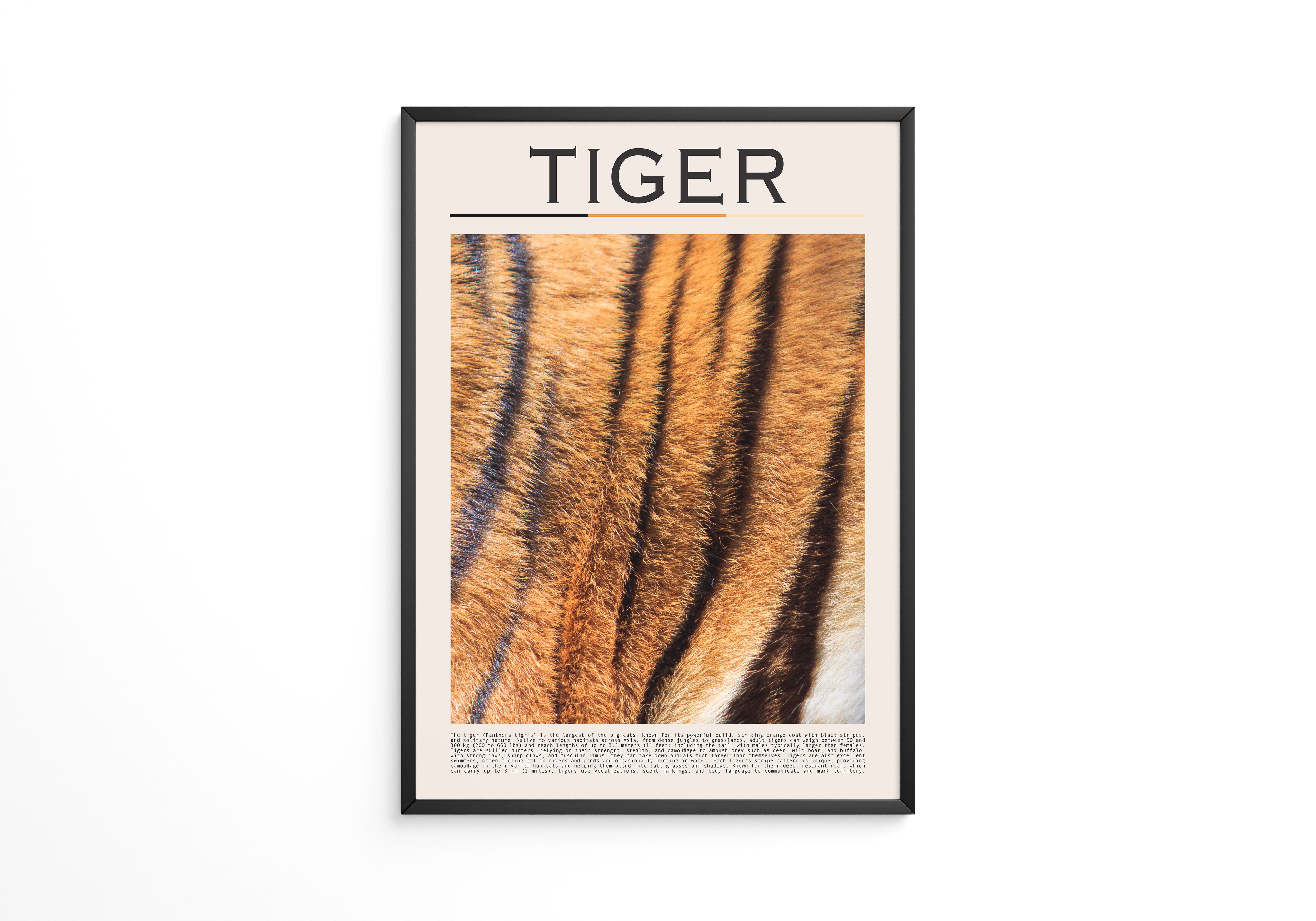 Tigerfell Nahaufnahme Strukturen