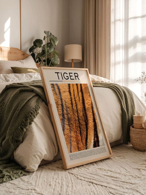 Tigerfell Nahaufnahme Strukturen