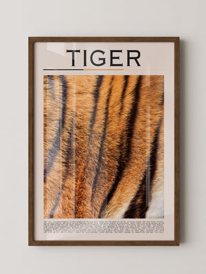Tigerfell Nahaufnahme Strukturen