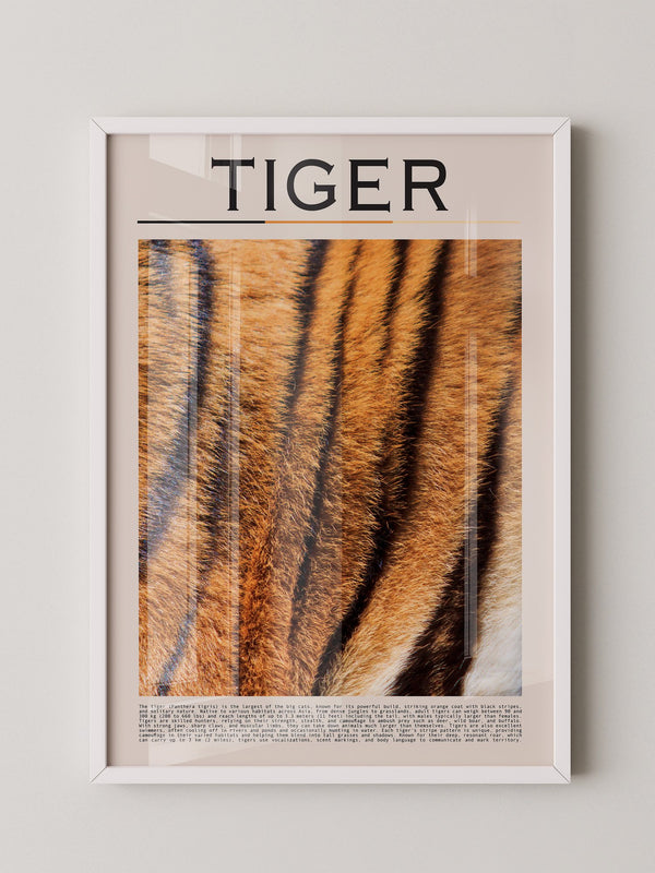 Tigerfell Nahaufnahme Strukturen