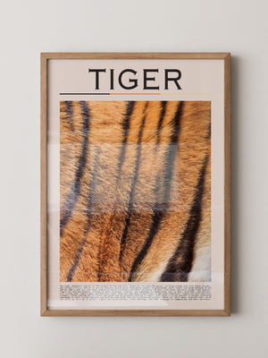 Tigerfell Nahaufnahme Strukturen