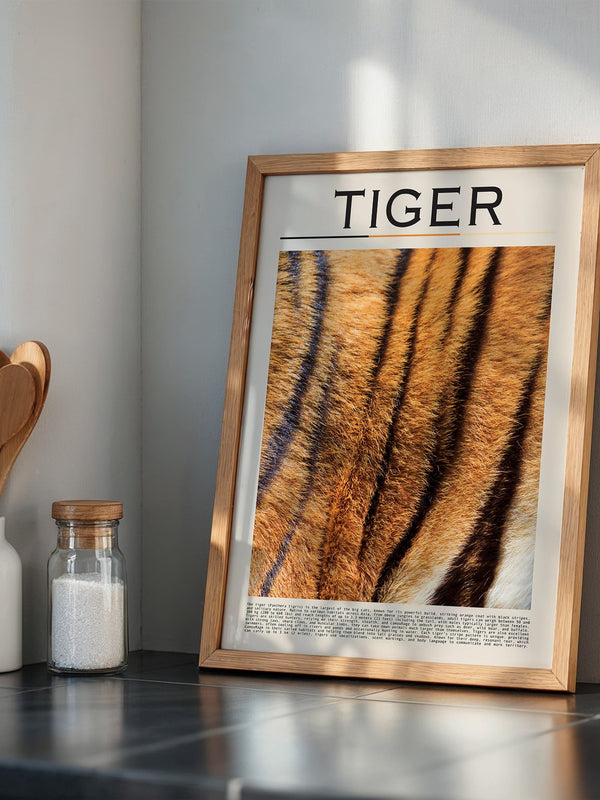 Tigerfell Nahaufnahme Strukturen