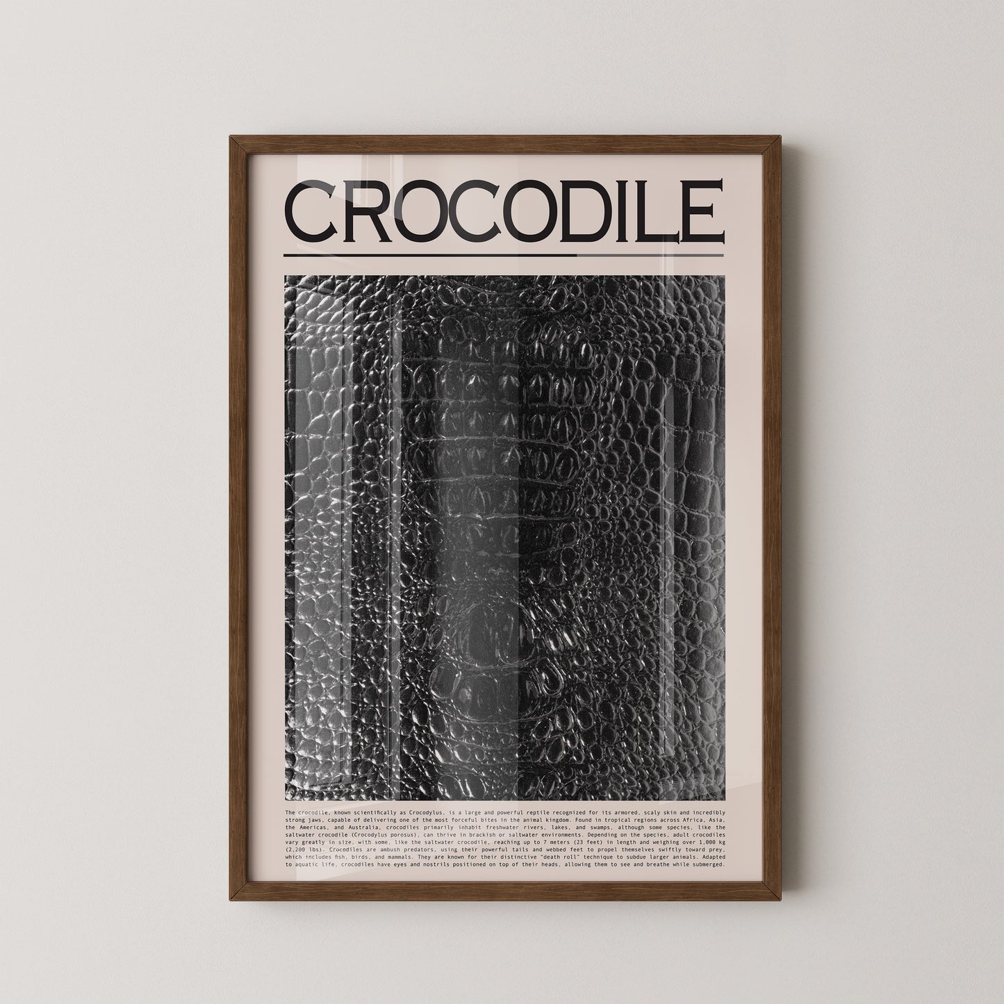 Krokodil Hautstruktur schwarz