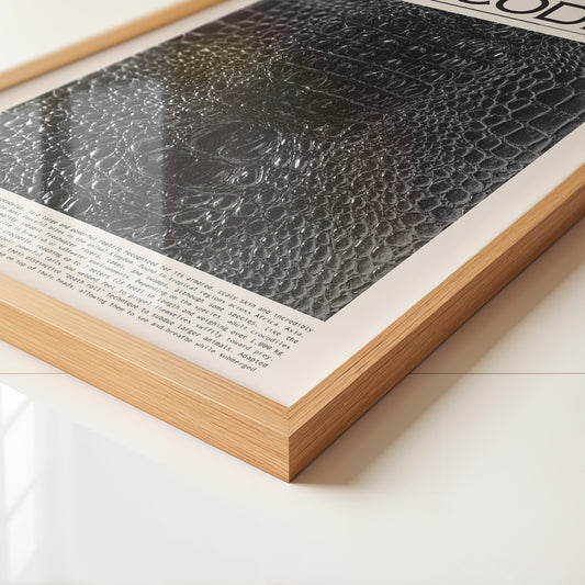 Krokodil Hautstruktur schwarz