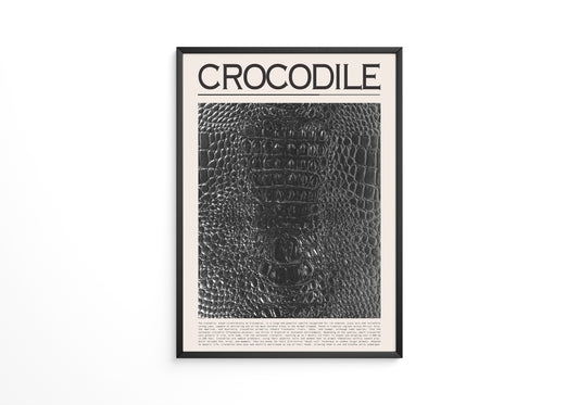 Krokodil Hautstruktur schwarz