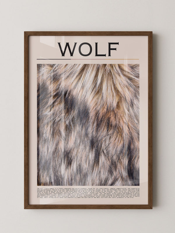 Wolf Fell monochrom