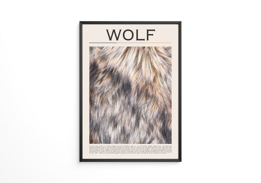 Wolf Fell monochrom