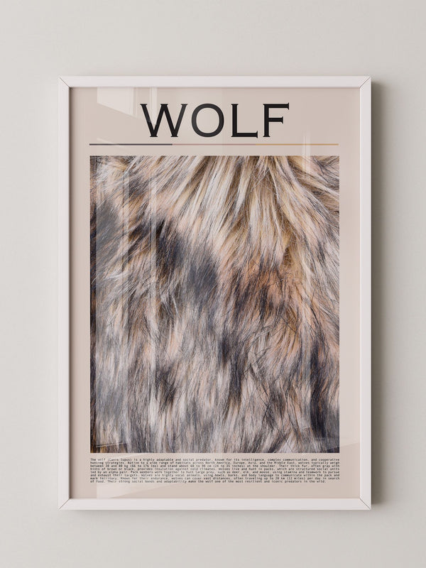 Wolf Fell monochrom