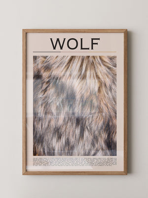 Wolf Fell monochrom