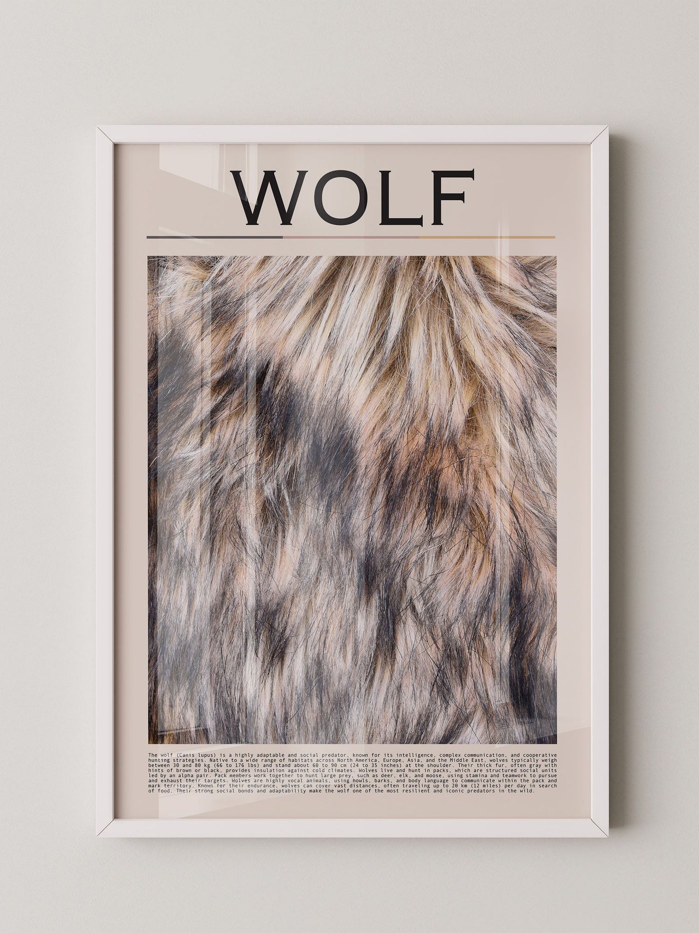 Wolf Fell monochrom
