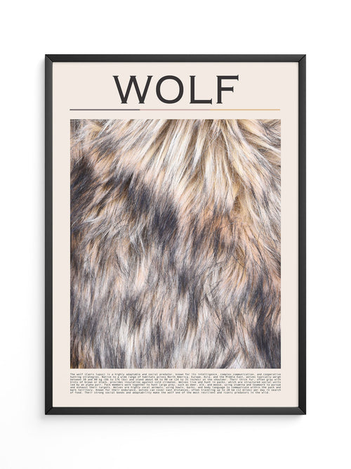 Wolf Fell monochrom