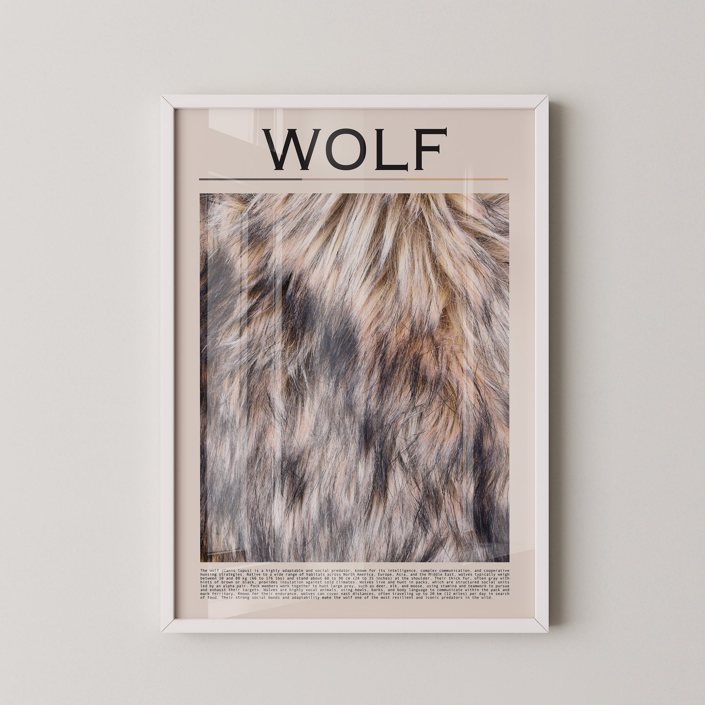 Wolf Fell monochrom