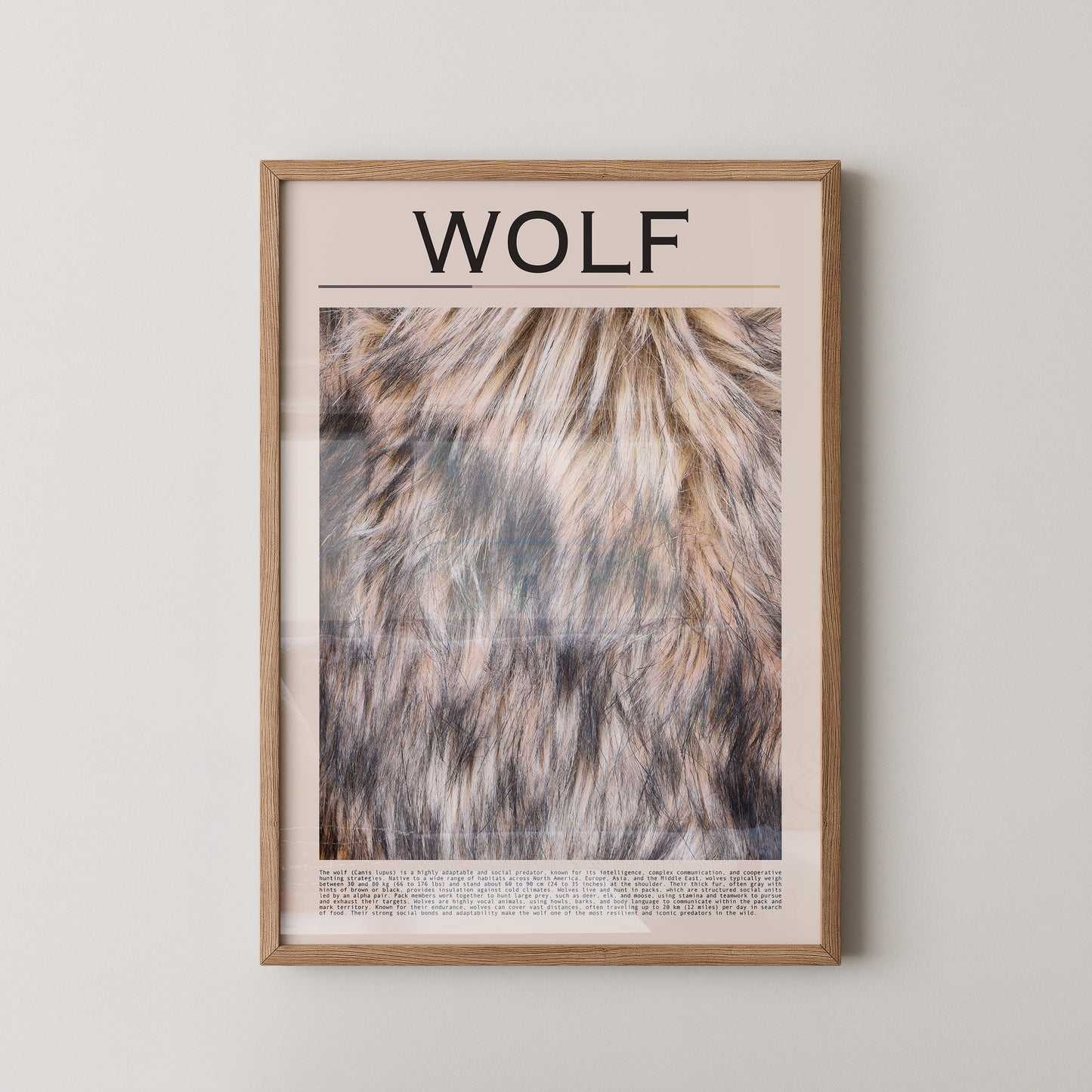 Wolf Fell monochrom