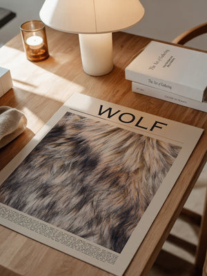 Wolf Fell monochrom