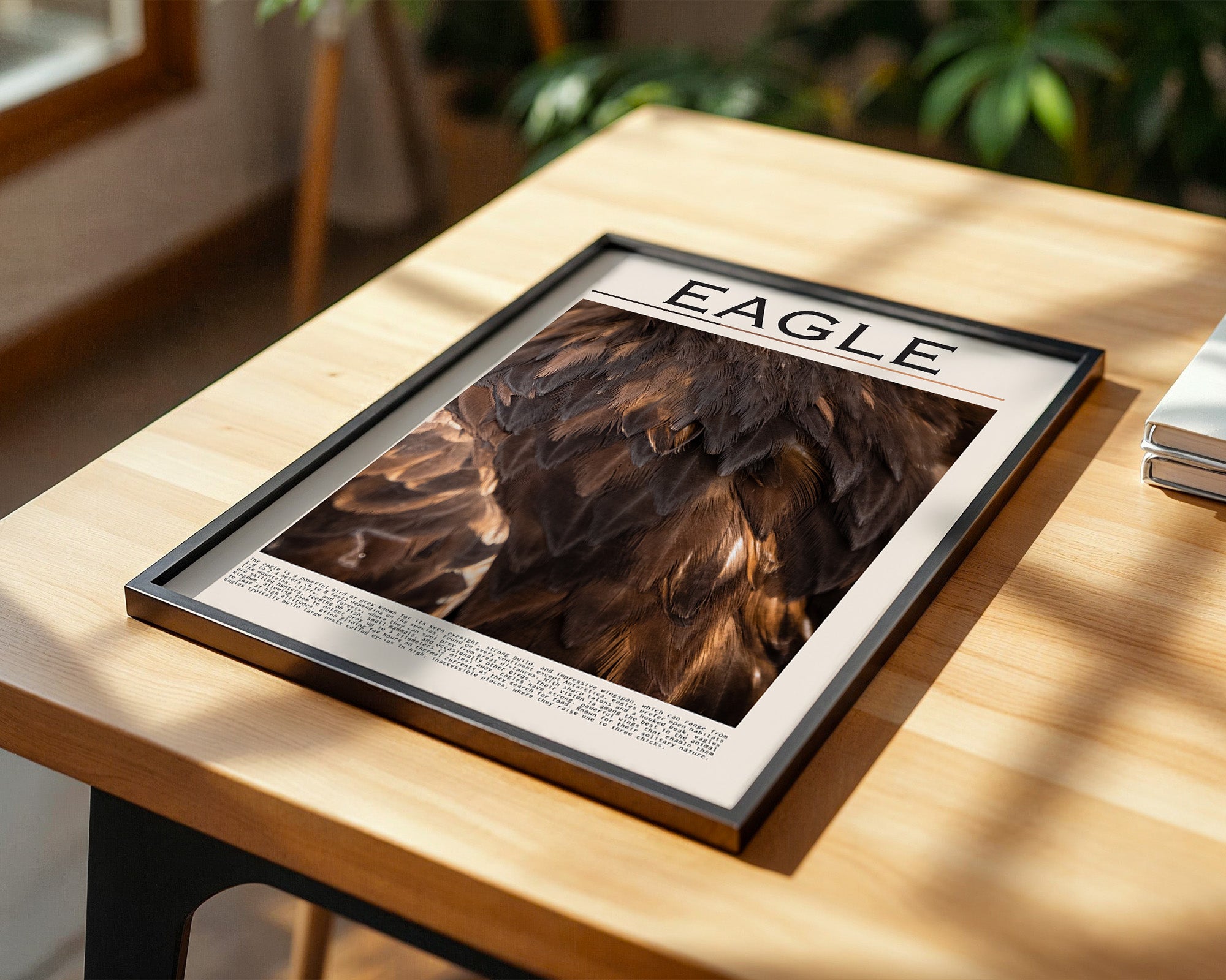 Adlerfedern Nahaufnahme Braun