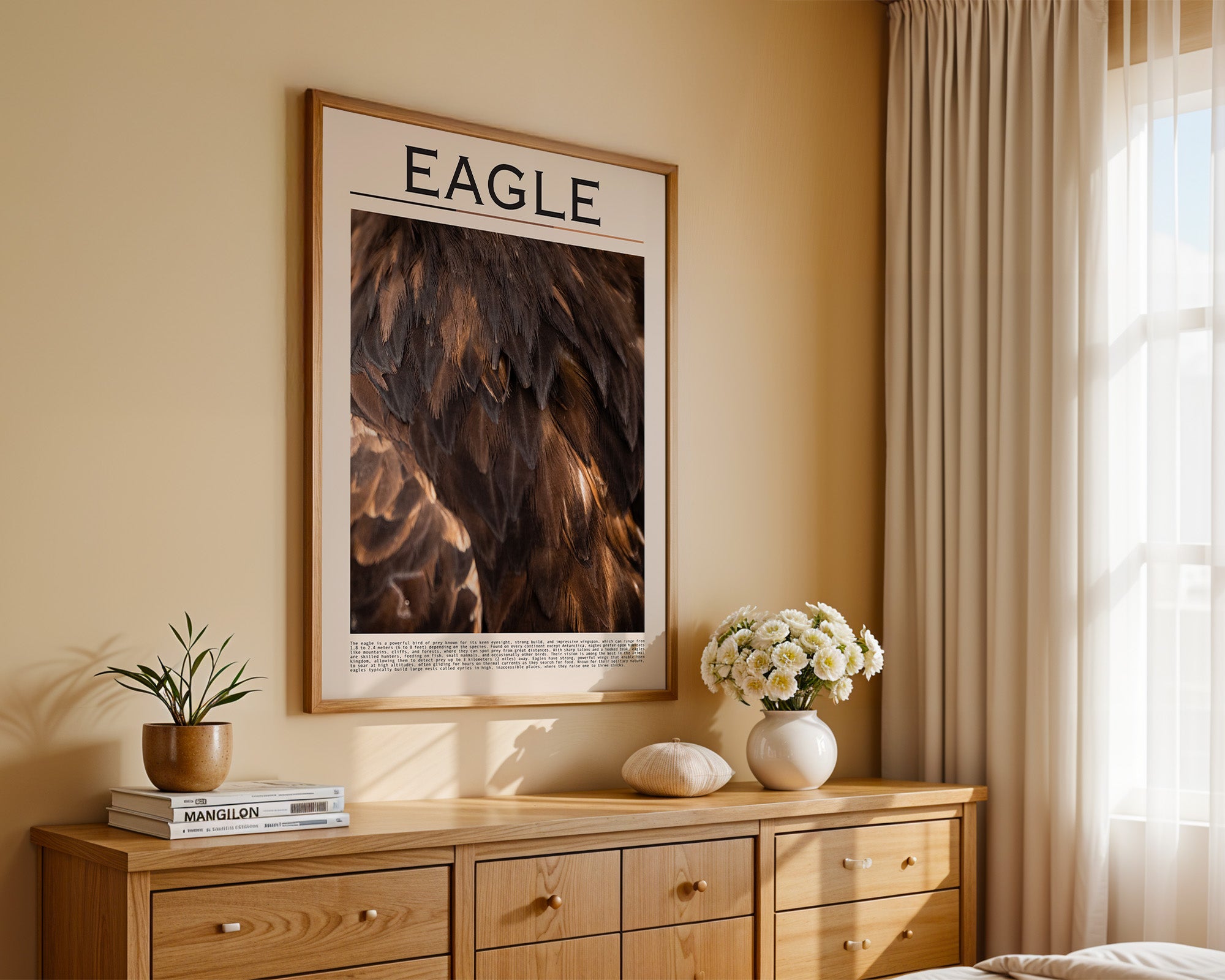 Adlerfedern Nahaufnahme Braun