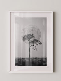 Baum vor Mond Schwarzweiß