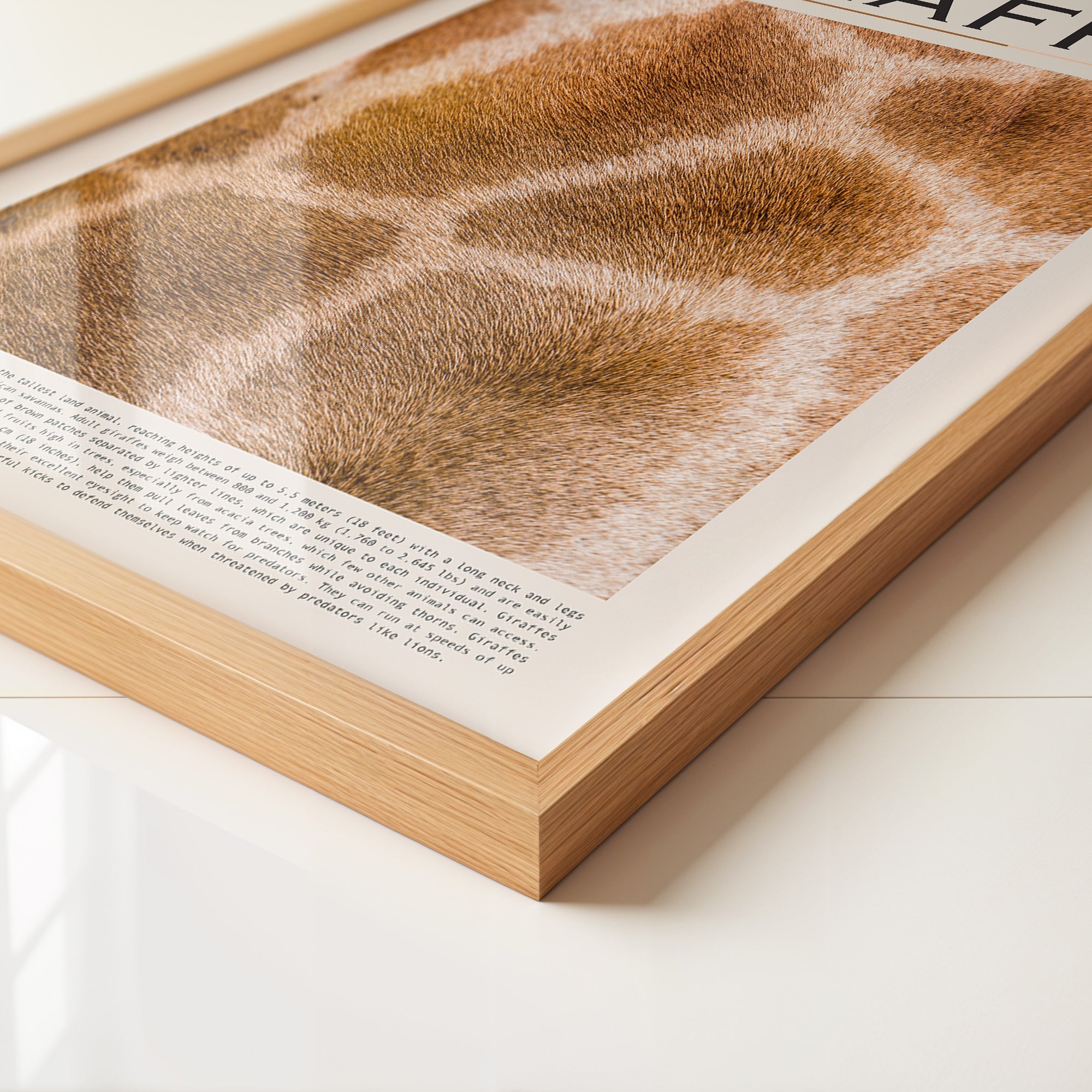 Giraffenfell Nahaufnahme Muster