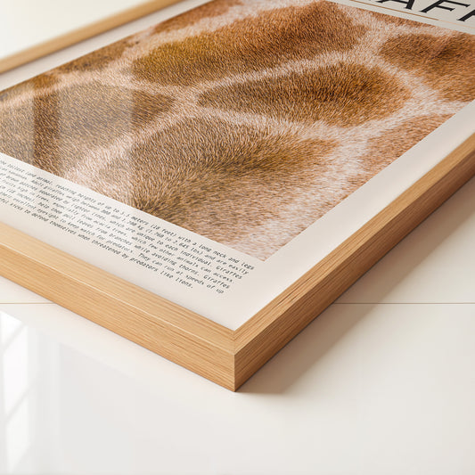 Giraffenfell Nahaufnahme Muster