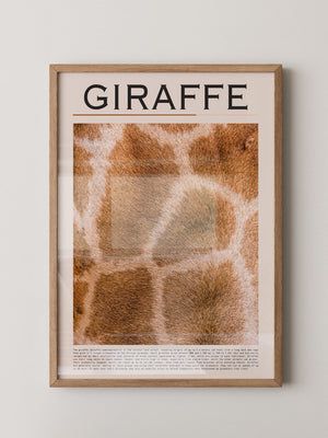 Giraffenfell Nahaufnahme Muster