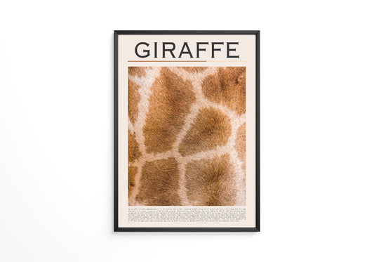 Giraffenfell Nahaufnahme Muster