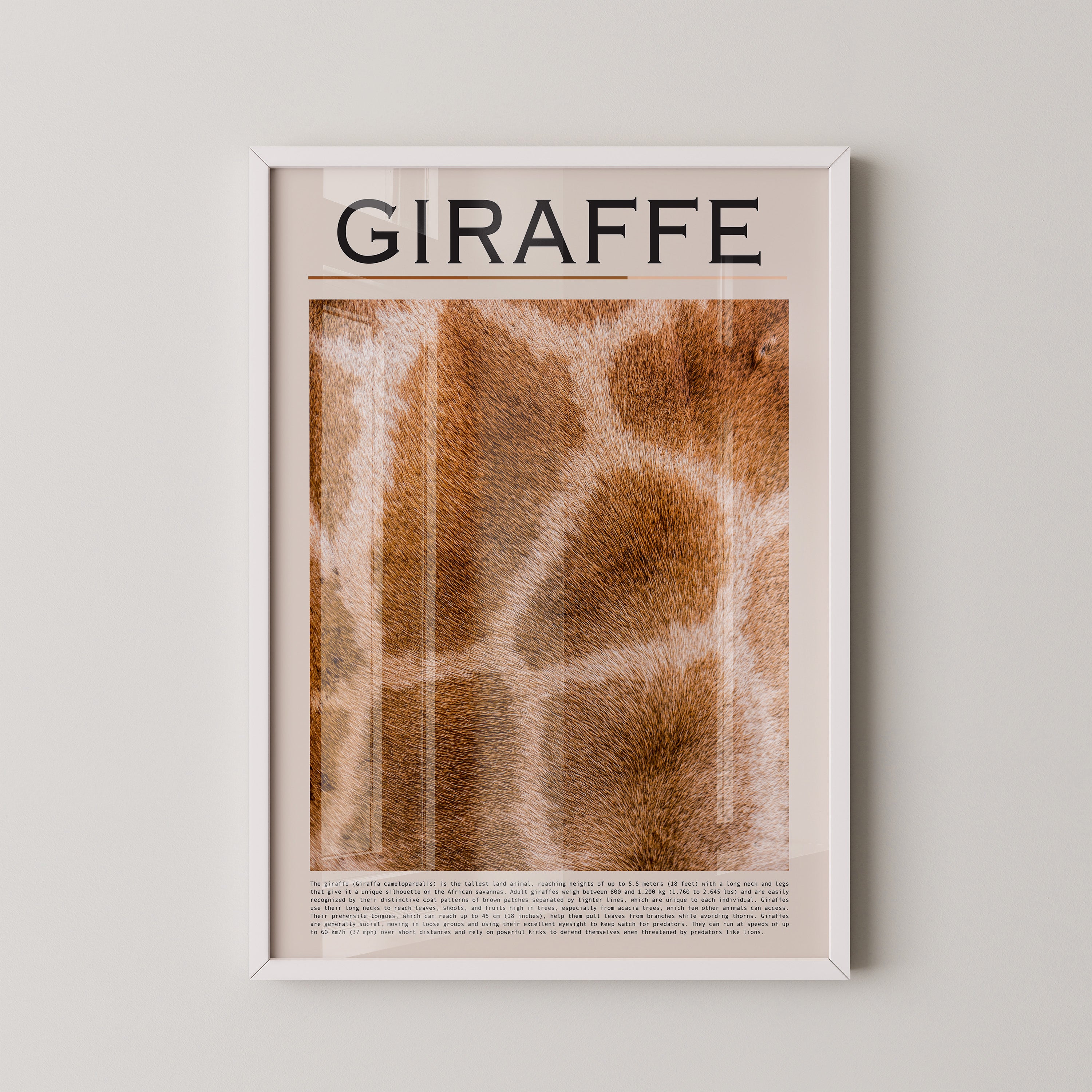 Giraffenfell Nahaufnahme Muster