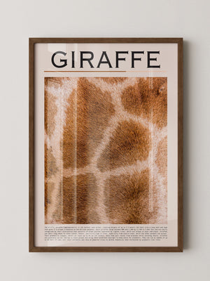 Giraffenfell Nahaufnahme Muster