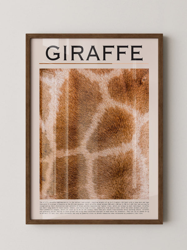 Giraffenfell Nahaufnahme Muster