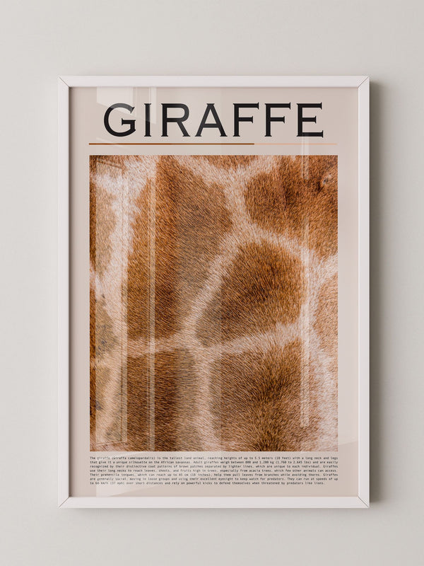 Giraffenfell Nahaufnahme Muster