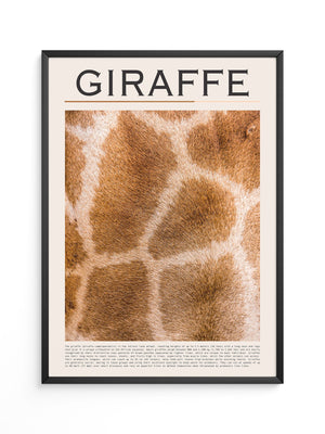 Giraffenfell Nahaufnahme Muster