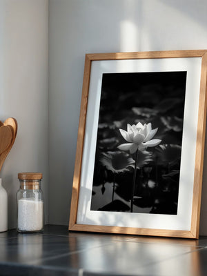 Lotusblüte Schwarzweiß Fotografie