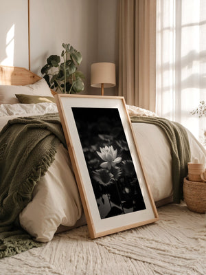 Lotusblüte Schwarzweiß Fotografie