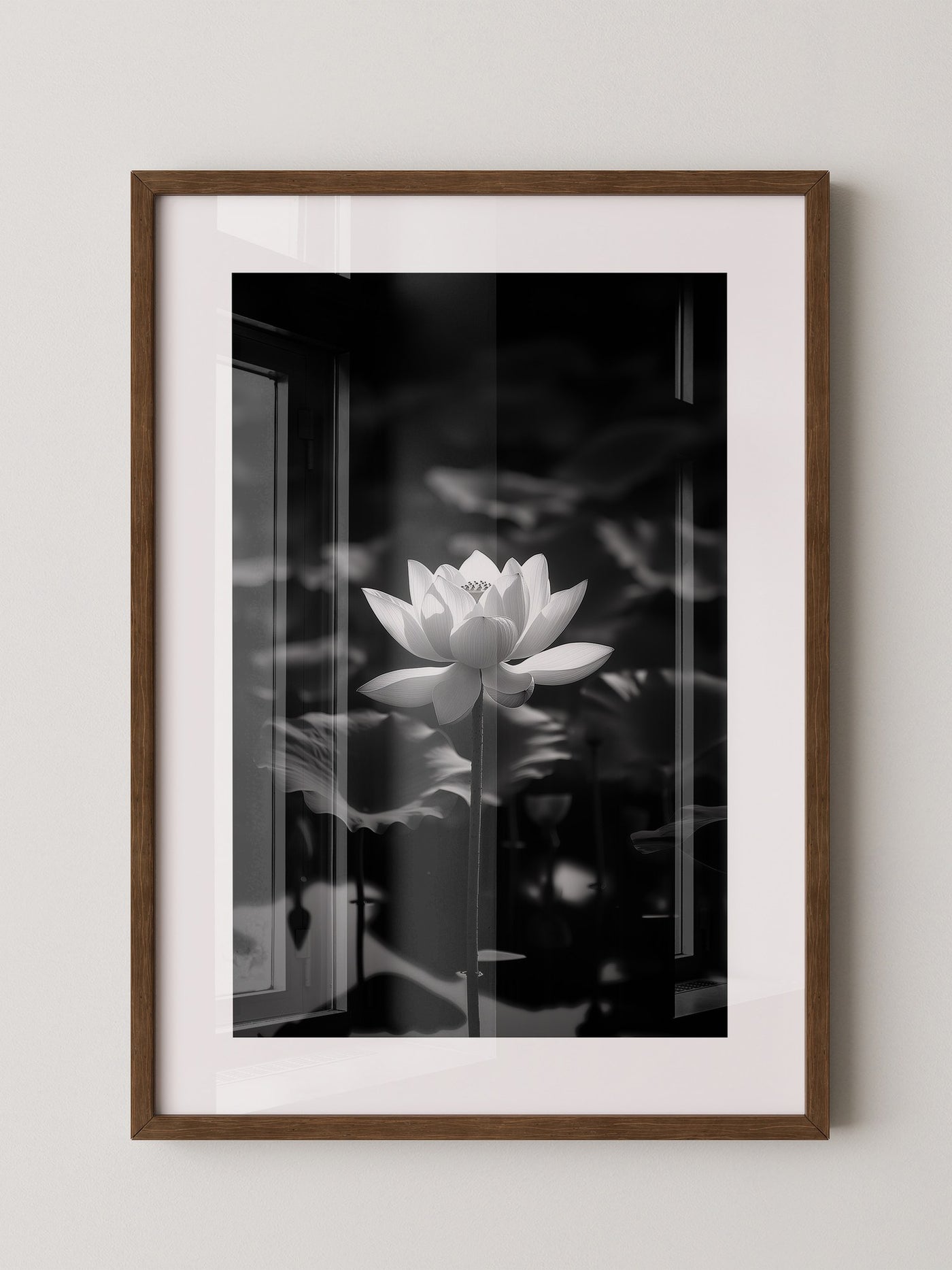Lotusblüte Schwarzweiß Fotografie