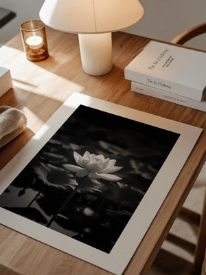 Lotusblüte Schwarzweiß Fotografie