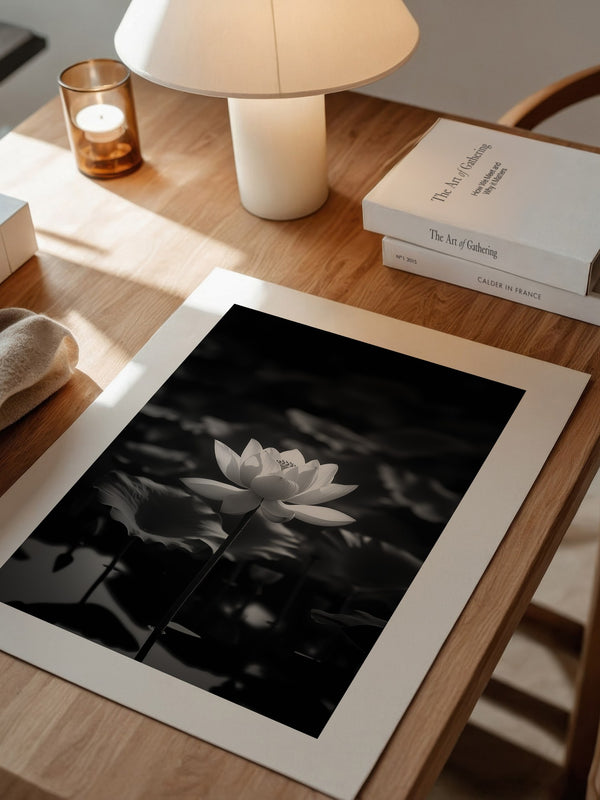 Lotusblüte Schwarzweiß Fotografie