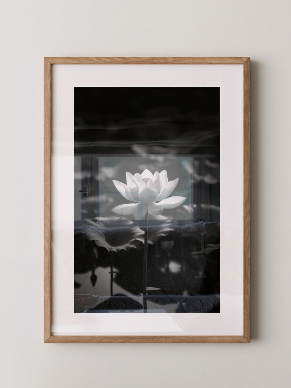 Lotusblüte Schwarzweiß Fotografie