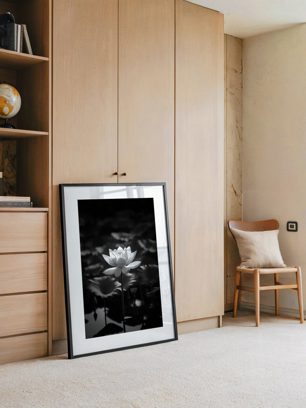 Lotusblüte Schwarzweiß Fotografie
