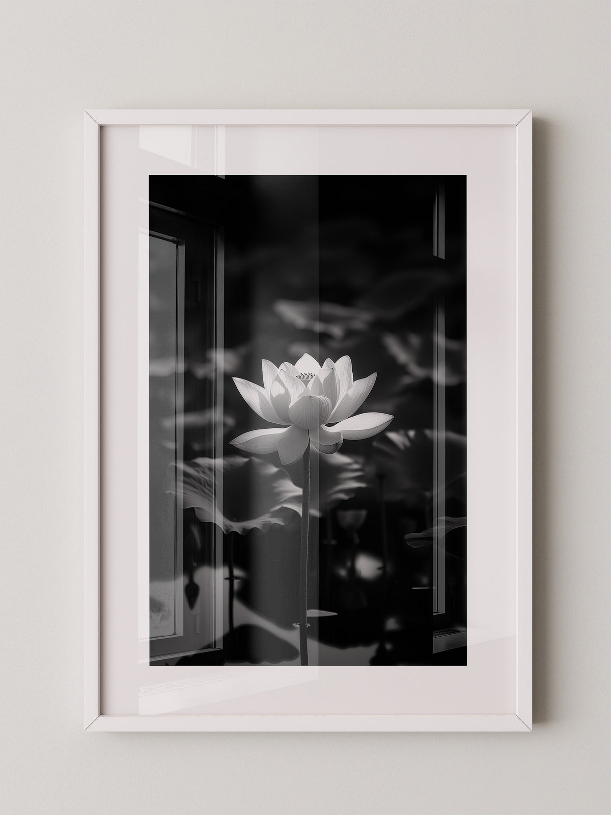 Lotusblüte Schwarzweiß Fotografie