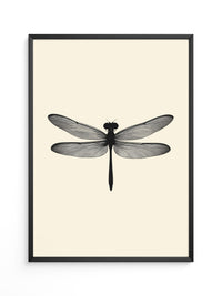 Libelle Minimalistisch Grafik