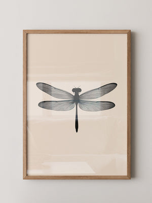 Libelle Minimalistisch Grafik