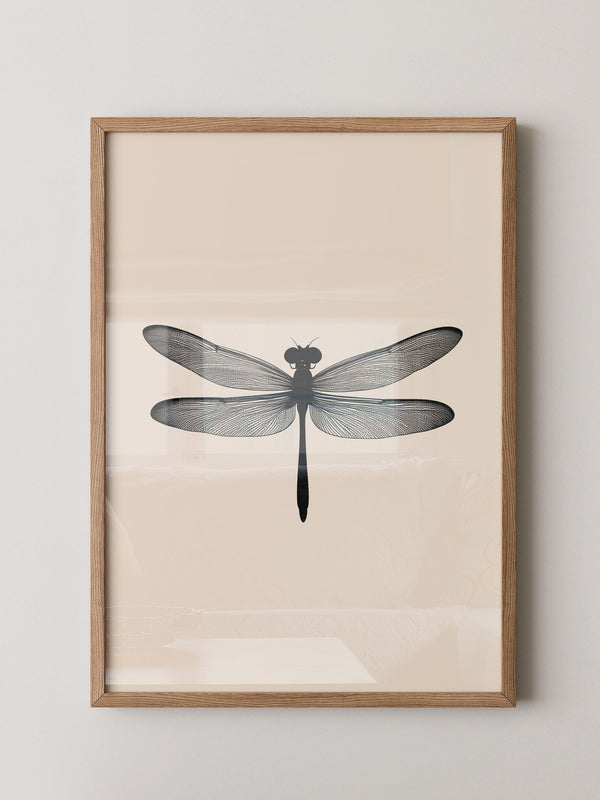 Libelle Minimalistisch Grafik